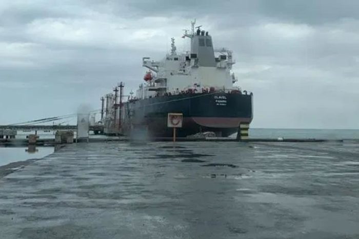 Pdvsa ofrece pagar flete clavel iraní