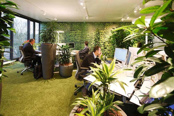 Empresas visten de verde