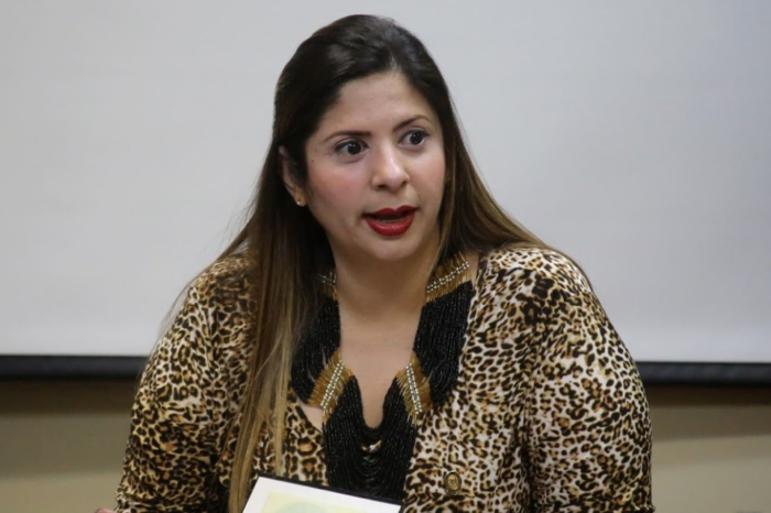 Nora Bracho - diputada an - comisión de medios