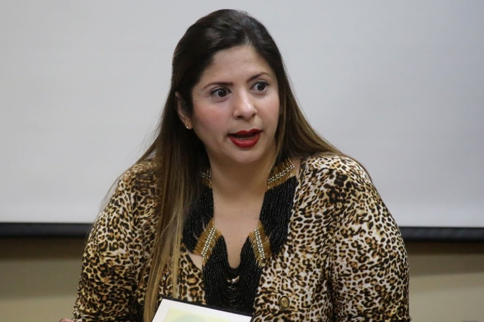 Nora Bracho - diputada an - comisión de medios