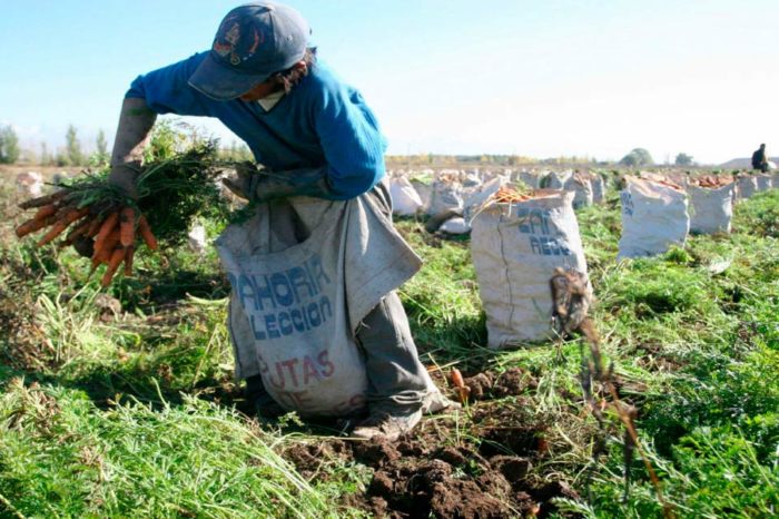 actividad agrícola exoneraciones