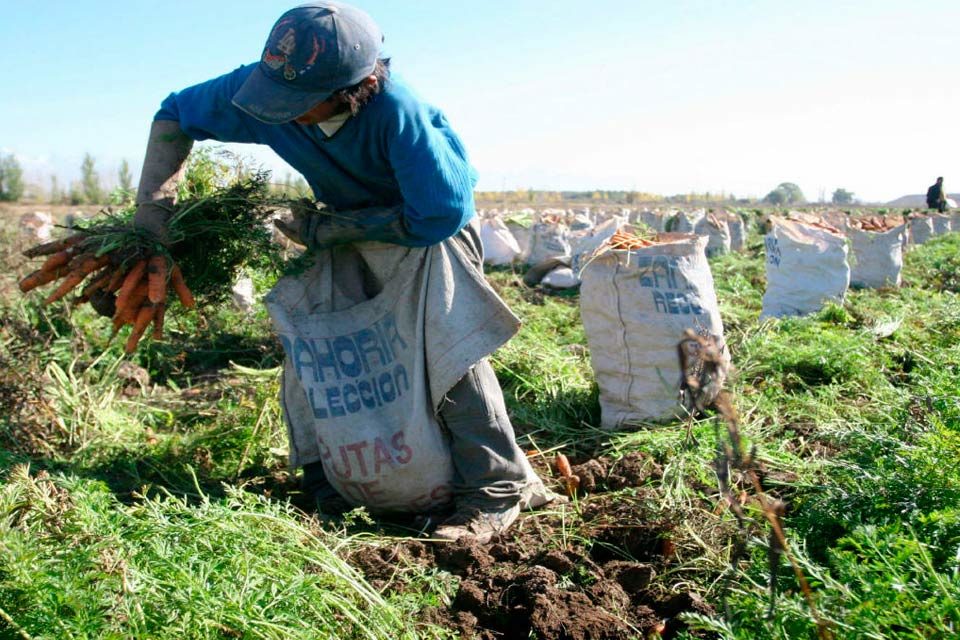 actividad agrícola exoneraciones