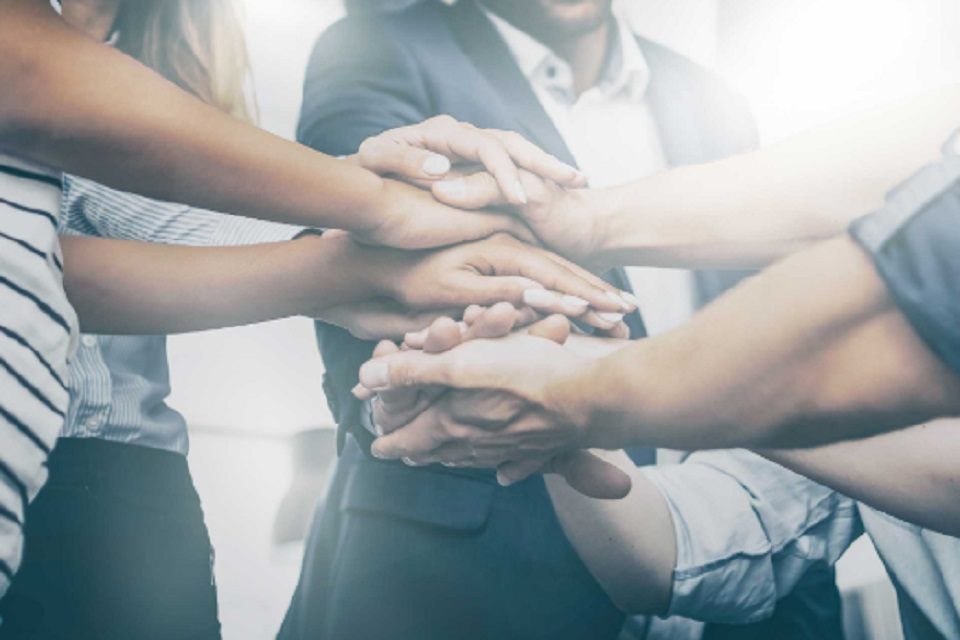 Integración mutualismo