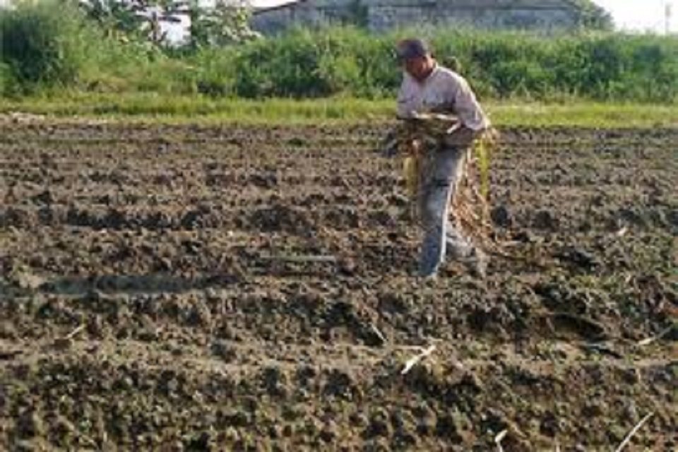 La mesa está servida zonas económicas especiales Fedeagro
