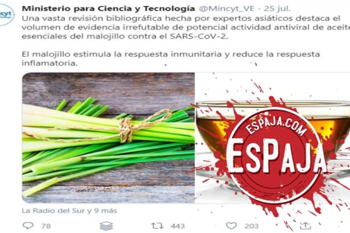 malojillo EsPaja