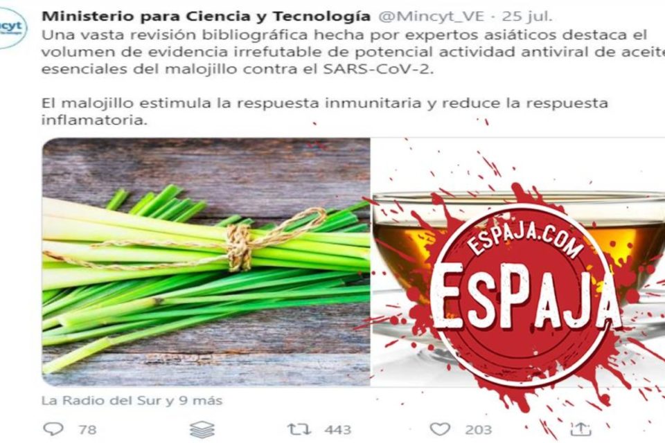 malojillo EsPaja