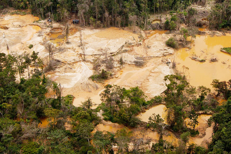crisis ambiental