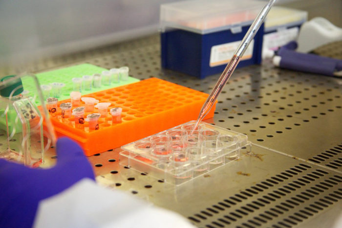 Investigación científica producción científica
