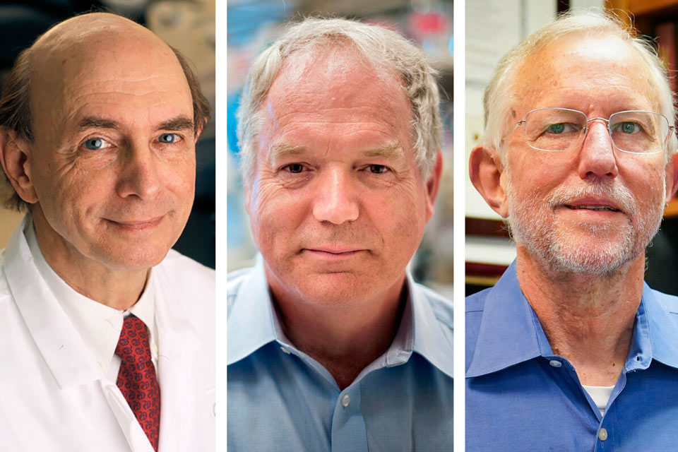 Nobel 2020 en pandemia
