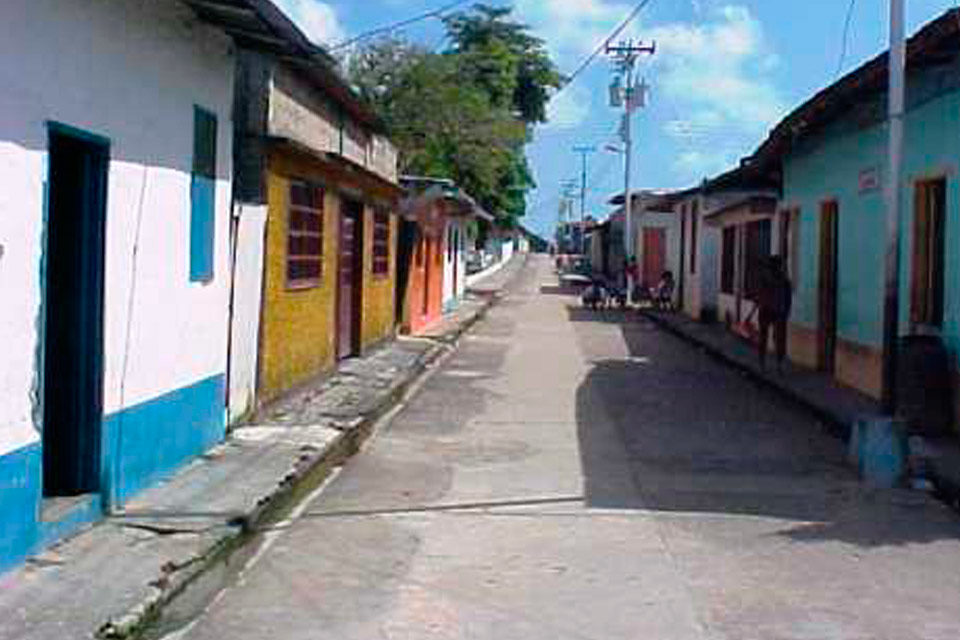 Lechosa verde