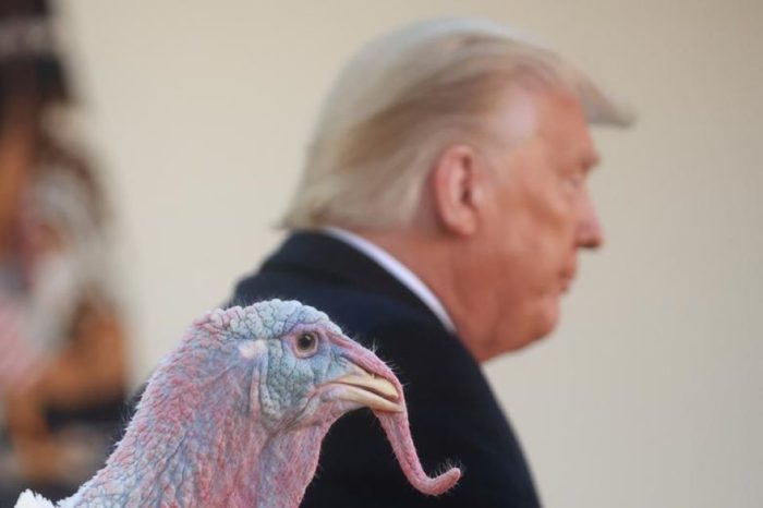 Indulto al pavo