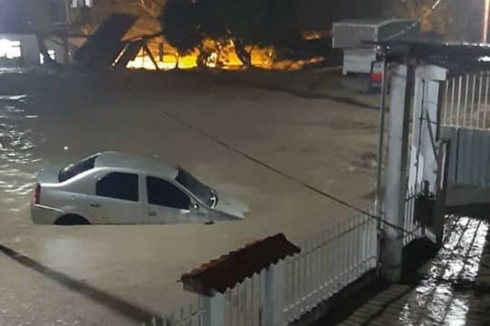 Zorca Táchira 11.11.2020