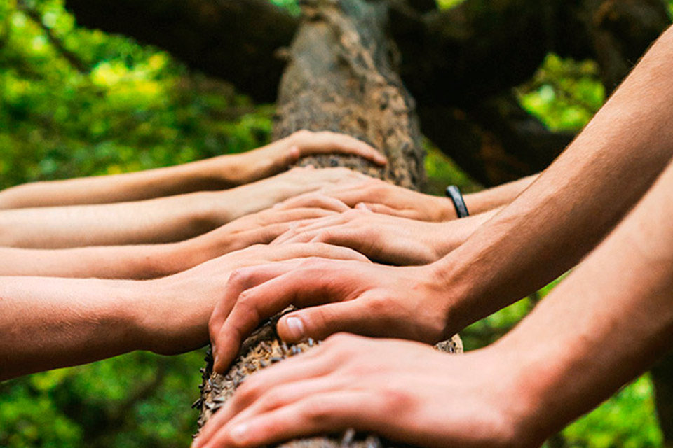 Visión solidaria