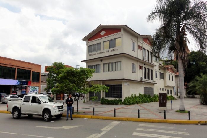 reforma concejo municipal