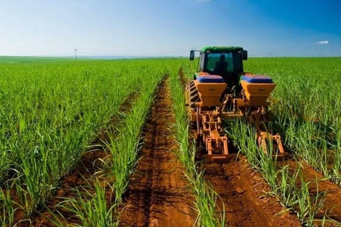Crisis de diésel paralizaría la producción