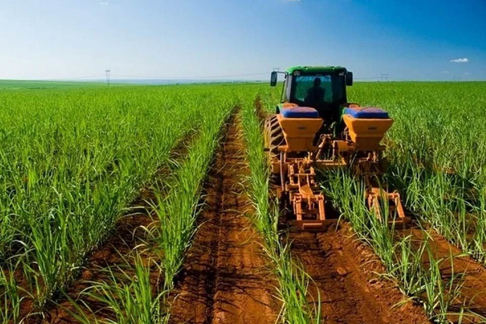 Crisis de diésel paralizaría la producción