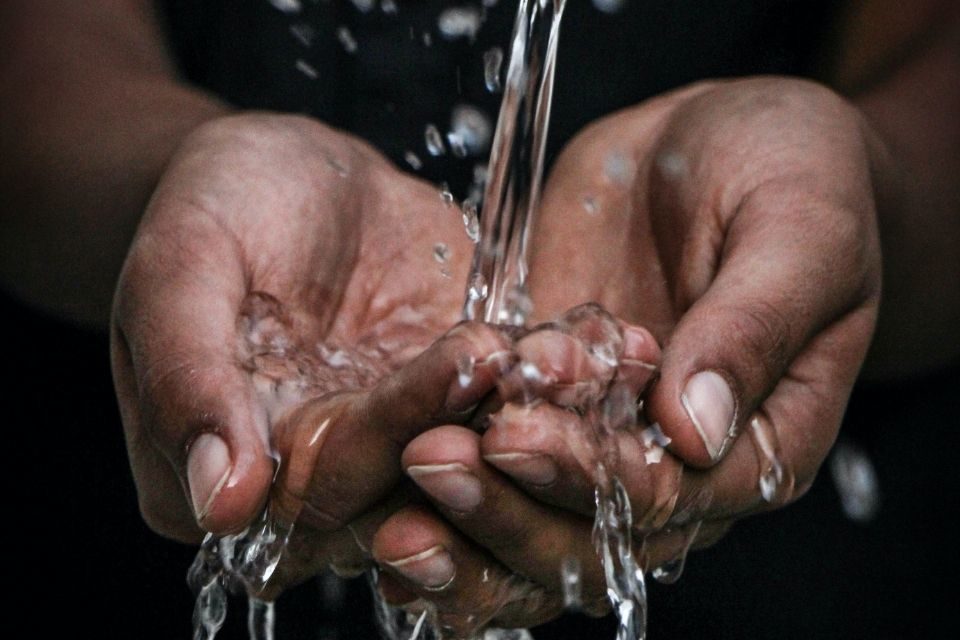 Dejemos que las fuentes de vida y agua salmonelosis