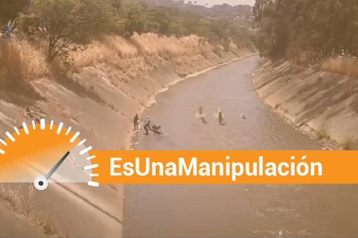 ESPaja delfines Guaire