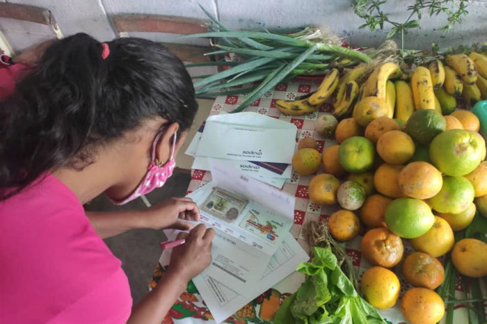 Programa de transferencias de la FAO