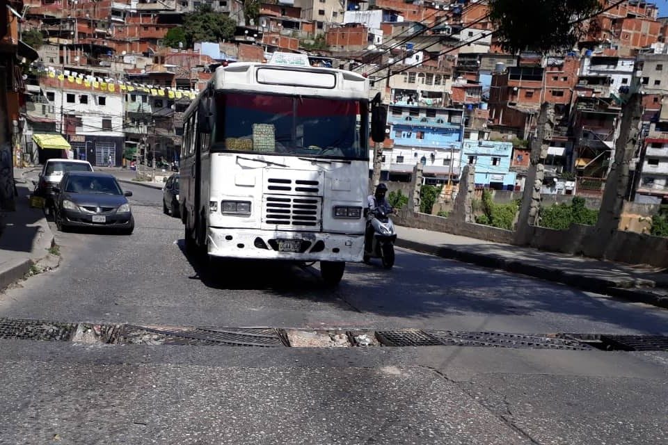 el junquito