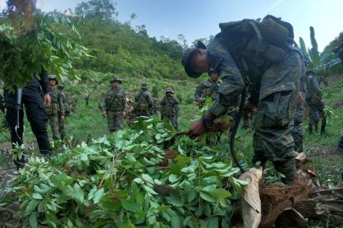 Centroamérica se suma a la cocaína