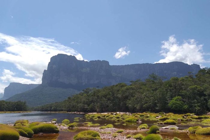 canaima