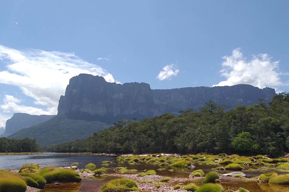 canaima