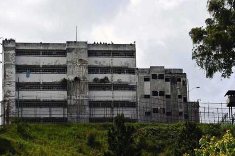 Ramo Verde