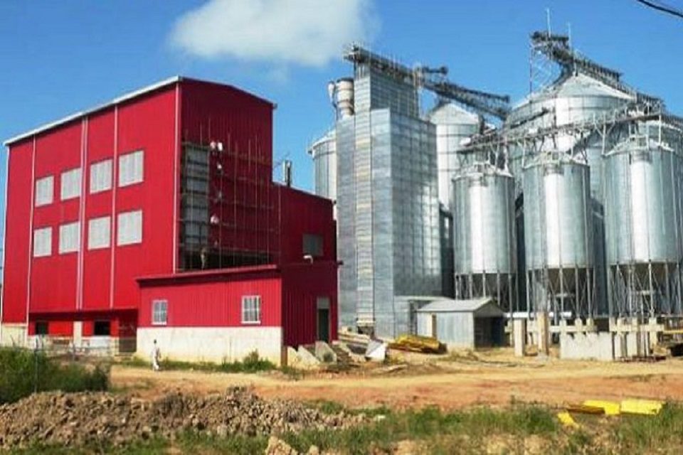 Arrocera