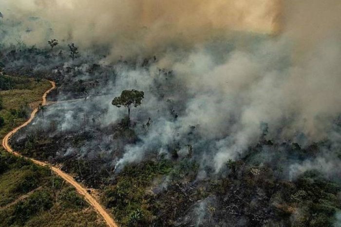 El desmantelamiento de la política ambiental de Bolsonaro