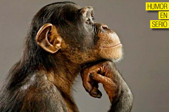 Homo sapiens