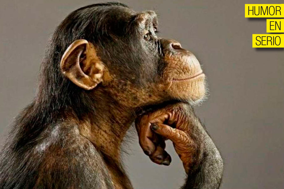 Homo sapiens