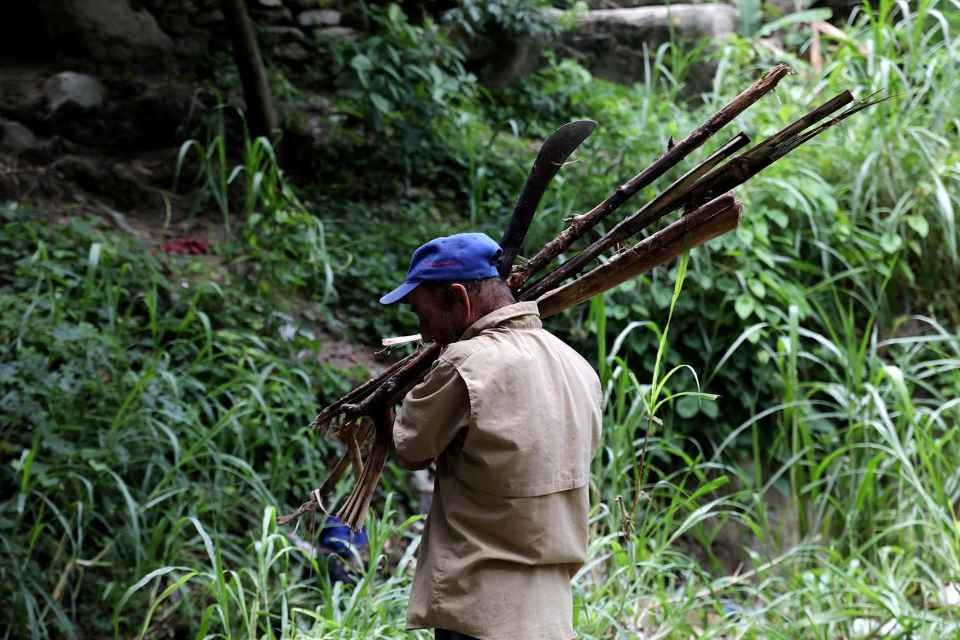 Oro, comida y leña: en lo que se convierten los bosques de Venezuela