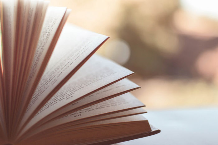 En busca de autores