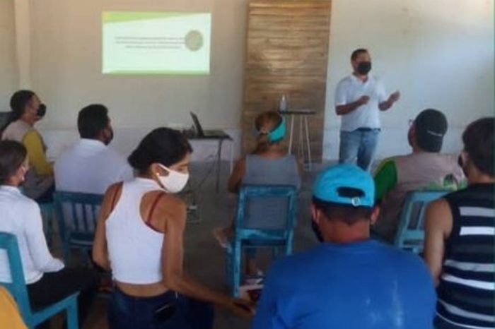 Provita Nueva Esparta Guayacán