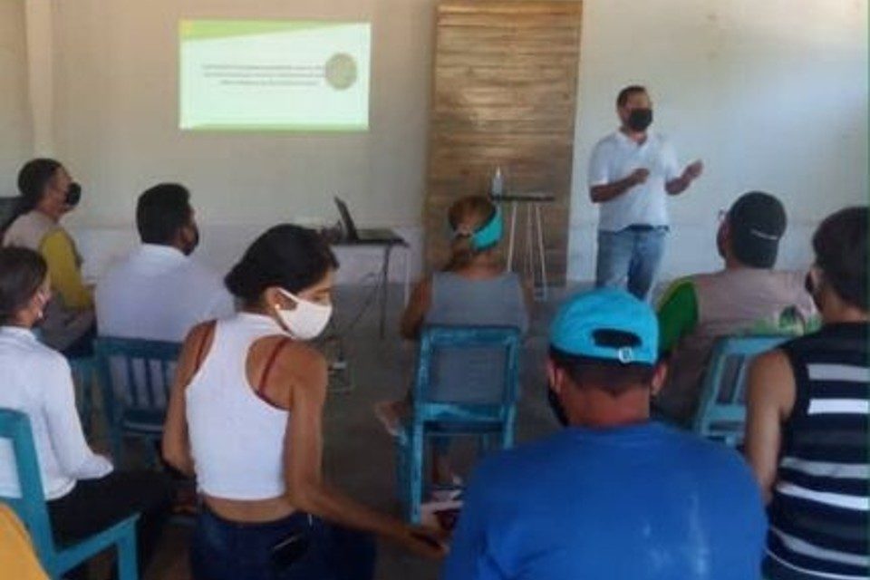 Provita Nueva Esparta Guayacán