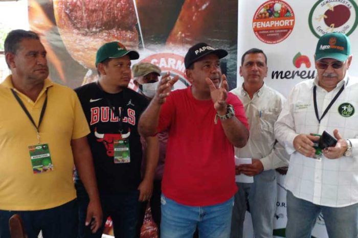 Productores de papa