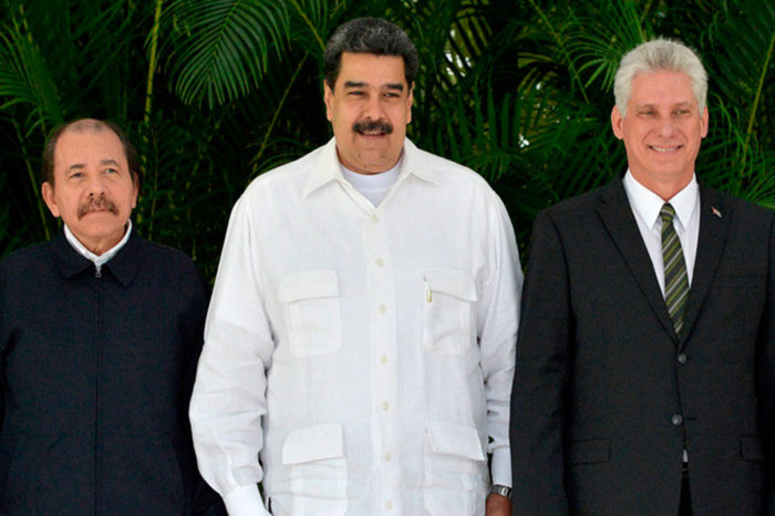 Los cachorros de Putin