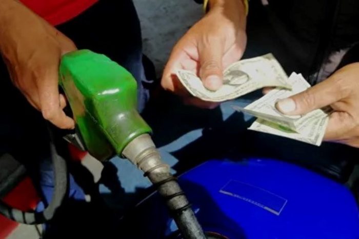 gasolina
