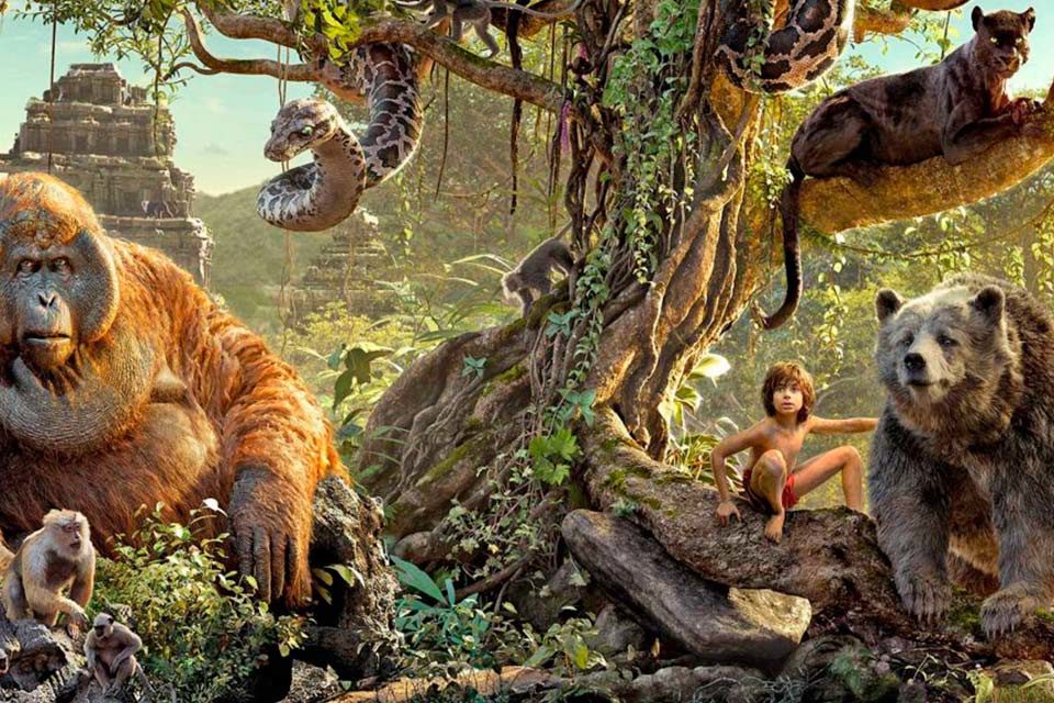 La ley de la jungla