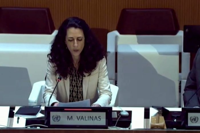 Marta Valiñas - Misión de Determinación de Hechos