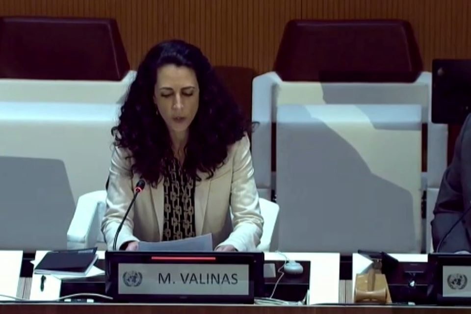Marta Valiñas - Misión de Determinación de Hechos