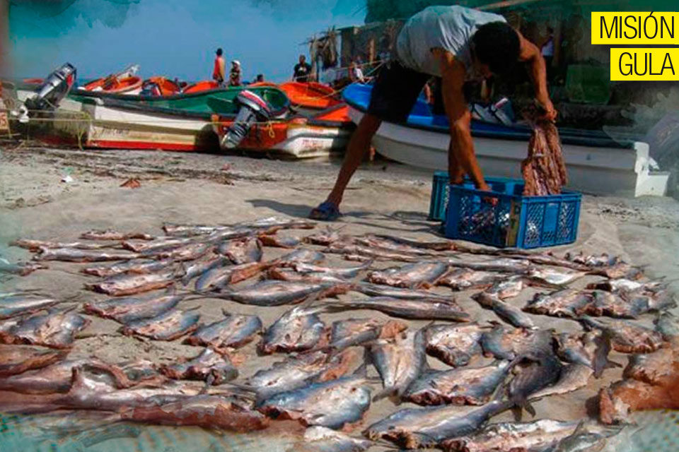 El pecado del pescado