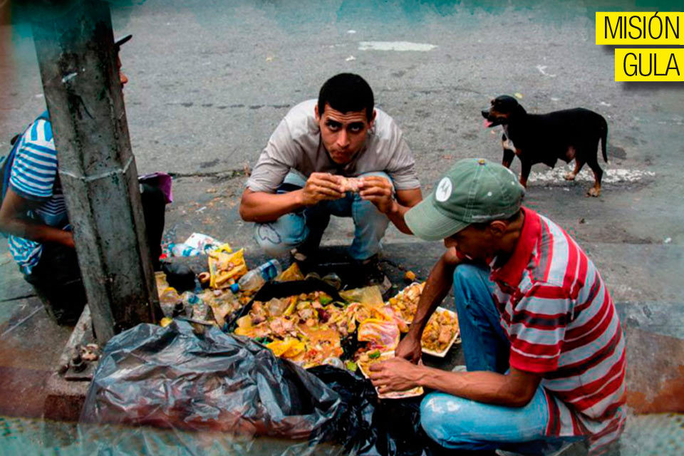 Hambre endógena