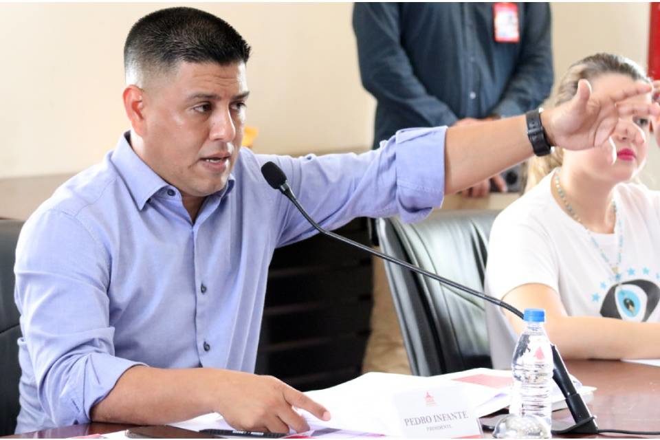 DIPUTADO PEDRO INFANTE - COMISION DE DESARROLLO SOCIAL an