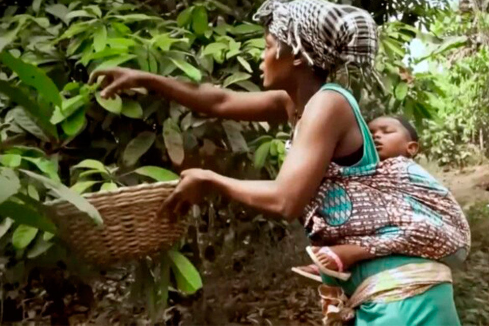 Mujeres rurales, en la primera línea del cambio climático