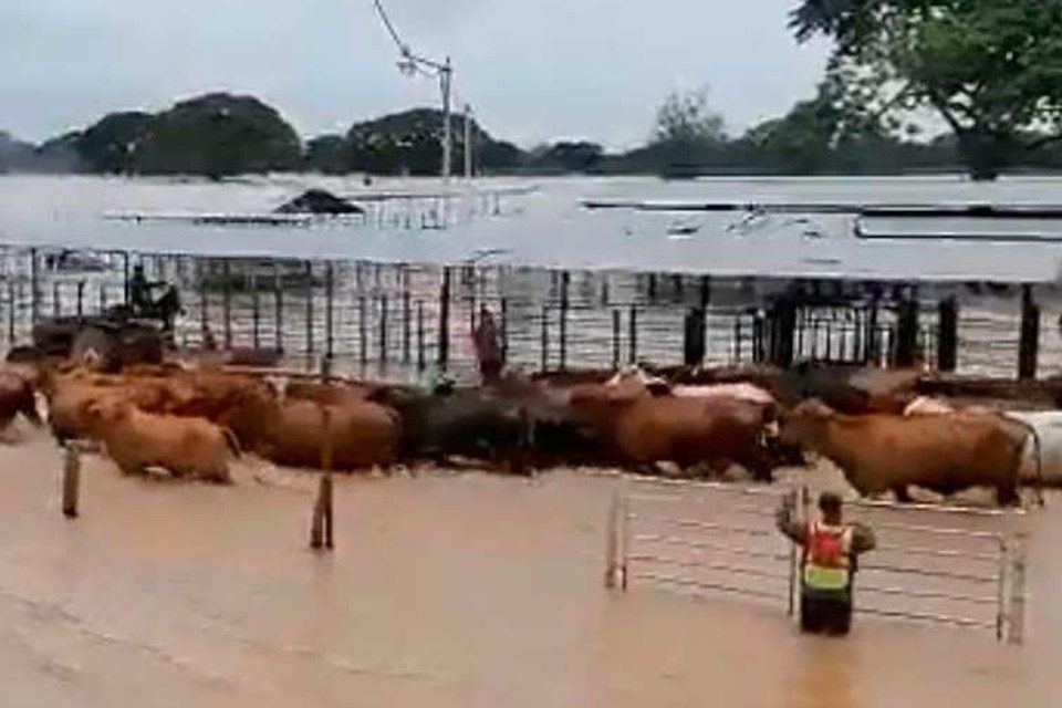 lluvias zulia
