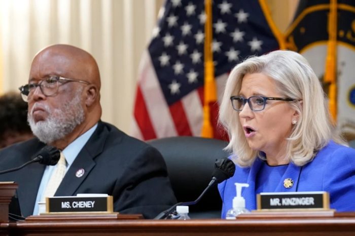 comite congreso EEUU Cheney Thompson Trump