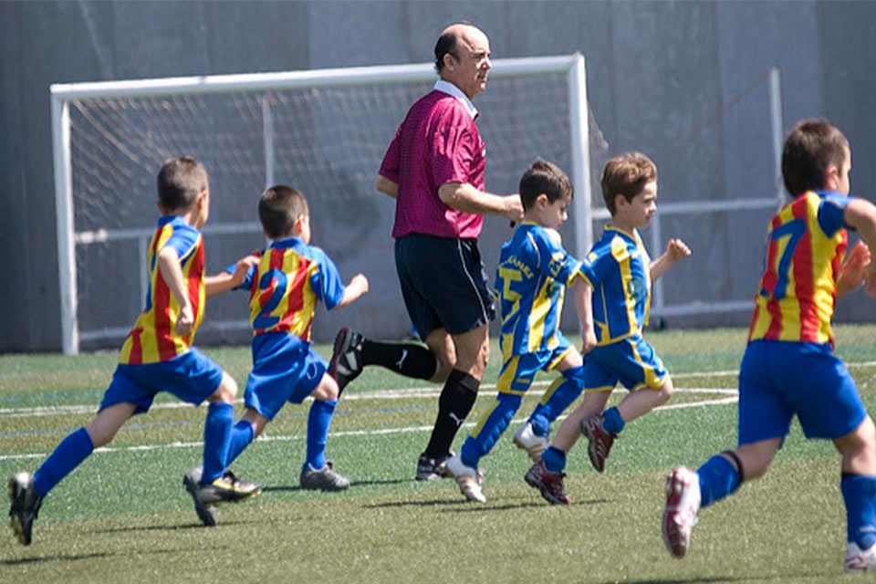 Ley del entrenador deportivo
