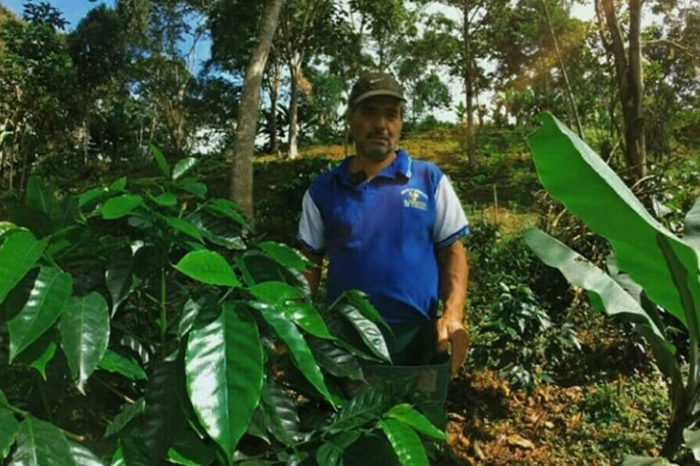 Resiliencia Cooperativa (y II)